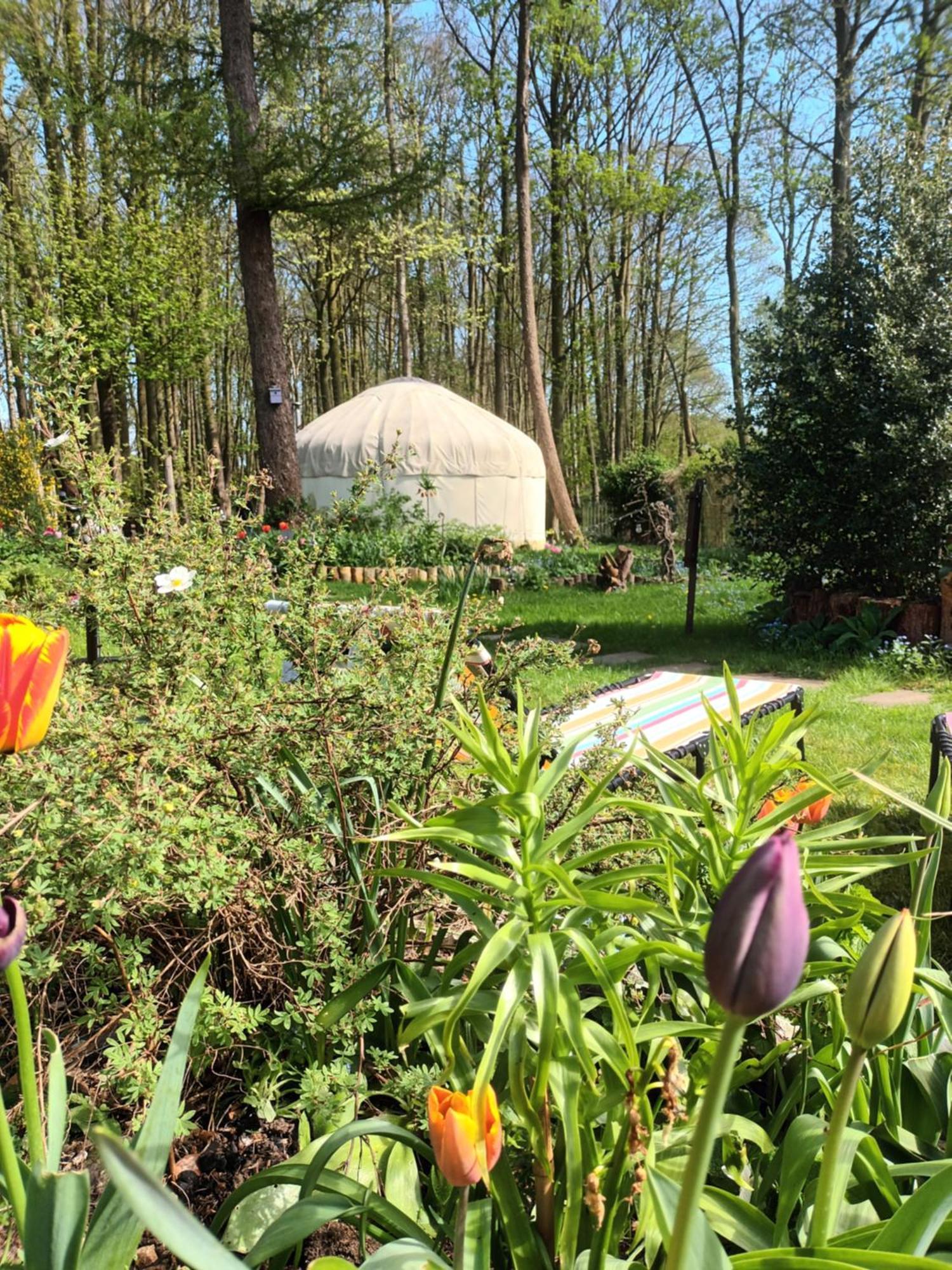 Gingerbread Cottage Yurts Dereham Luaran gambar