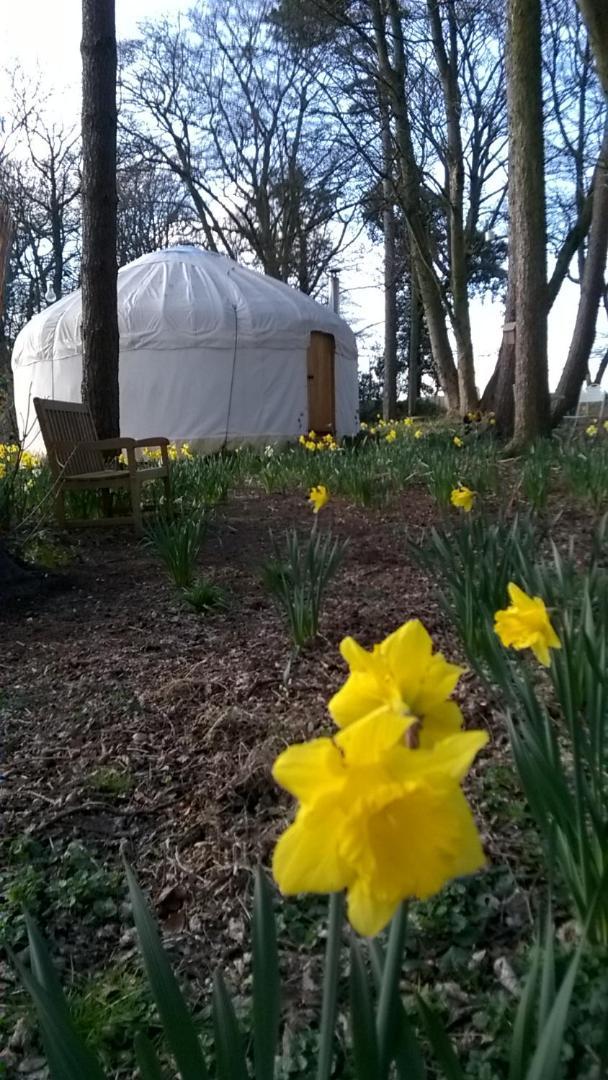 Gingerbread Cottage Yurts Dereham Luaran gambar