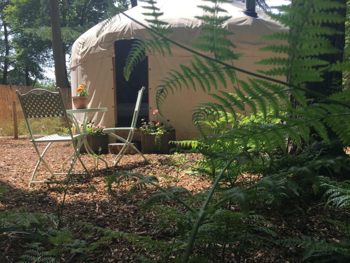 Gingerbread Cottage Yurts Dereham Luaran gambar