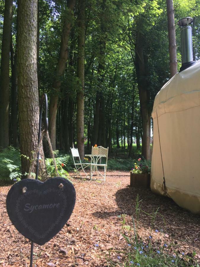 Gingerbread Cottage Yurts Dereham Luaran gambar