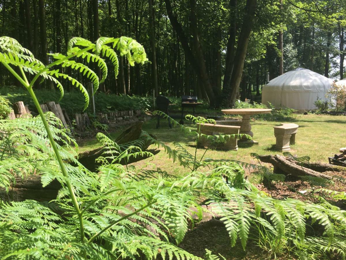 Gingerbread Cottage Yurts Dereham Luaran gambar